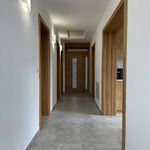 Rent 3 bedroom apartment of 110 m² in Lichnov