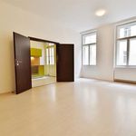 Rent 4 bedroom apartment of 102 m² in Brno