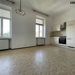 Rent 2 bedroom apartment of 42 m² in Knittelfeld
