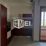 Rent 2 bedroom apartment of 90 m² in Livorno