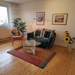 Rent 3 bedroom apartment of 70 m² in Hanau