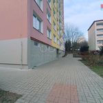 Rent 1 bedroom apartment of 41 m² in Usti Nad Labem