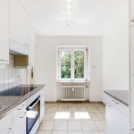 Miete 4 Schlafzimmer wohnung von 97 m² in Basel