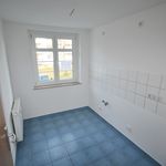 Rent 2 bedroom apartment of 43 m² in Chemnitz