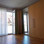 Rent 2 bedroom apartment of 72 m² in Wien