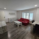 Rent 2 bedroom apartment in Mladá Boleslav