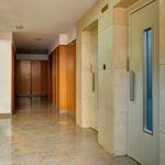 Rent a room of 155 m² in Zaragoza