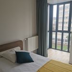 Rent 1 bedroom apartment of 37 m² in Puteaux