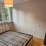 Rent 3 bedroom apartment of 43 m² in Wrocław