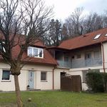 Rent 1 bedroom apartment of 53 m² in Graz