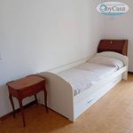 Rent 2 bedroom house of 90 m² in Cerveteri