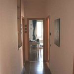 Affitto 2 camera appartamento di 65 m² in Catanzaro
