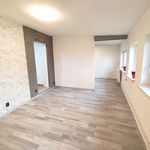 Rent 1 bedroom apartment in Ostrava