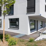 Rent 4 bedroom apartment of 75 m² in Aesch