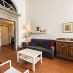 Rent 2 bedroom apartment of 75 m² in Firenze