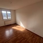 Rent 4 bedroom apartment of 151 m² in ST LOUIS