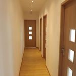Rent a room of 8 m² in Katowice