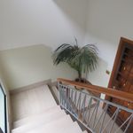 Rent 4 bedroom apartment of 80 m² in Poggibonsi