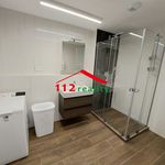 Rent 3 bedroom apartment of 102 m² in Staré Město