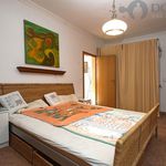 Rent 1 bedroom apartment of 205 m² in Olomouc