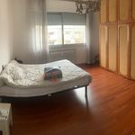 Rent 1 bedroom apartment of 1700 m² in Venezia