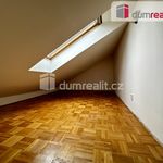Rent 5 bedroom apartment of 200 m² in Praha