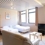 Huur 1 slaapkamer appartement van 30 m² in Brussels