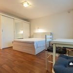 Rent 1 bedroom house of 28 m² in Pardubice