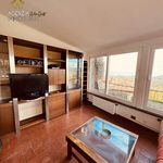 Rent 1 bedroom apartment of 60 m² in Rocca di Papa