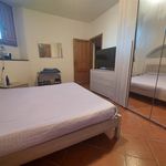 Rent 2 bedroom house of 75 m² in Scandicci
