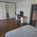Miete 2 Schlafzimmer wohnung in Muri bei Bern