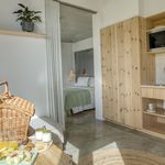 Rent 1 bedroom house of 33 m² in Calheta