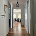 Rent 2 bedroom apartment of 65 m² in Dortmund