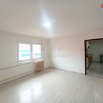 Rent 1 bedroom apartment of 50 m² in Kraslice