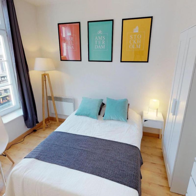 Pleasant double bedroom near the Montebello metro Lille