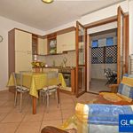 Rent 2 bedroom apartment of 48 m² in Grosseto