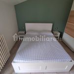 Rent 2 bedroom apartment of 38 m² in Imola