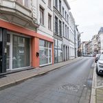 Rent 1 bedroom apartment of 155 m² in Antwerpen