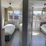 Rent 5 bedroom house in Lelystad