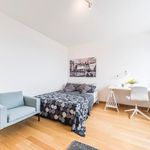 Rent 5 bedroom apartment in Padova