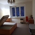Rent 2 bedroom house in Praha