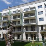 Rent 4 bedroom apartment of 75 m² in Vienna