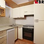 Rent 1 bedroom apartment of 72 m² in Brno
