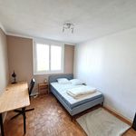 Rent 3 bedroom apartment of 60 m² in Brest