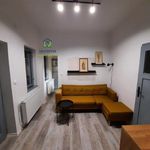 Rent 1 bedroom house of 800 m² in Brno