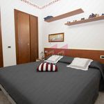 Affitto 1 camera appartamento di 44 m² in Bergantino
