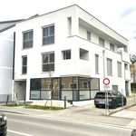 Miete 3 Schlafzimmer wohnung von 62 m² in Graz