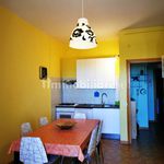 Rent 3 bedroom apartment of 60 m² in Vasto