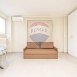 Rent 1 bedroom apartment of 30 m² in Milan