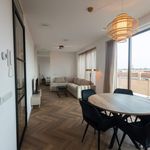 Rent 2 bedroom apartment of 80 m² in Groningen